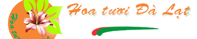 Hoa tươi Đà Lạt